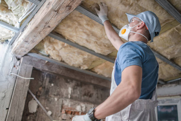 Best Attic Insulation Installation  in Cattaraugus, NY