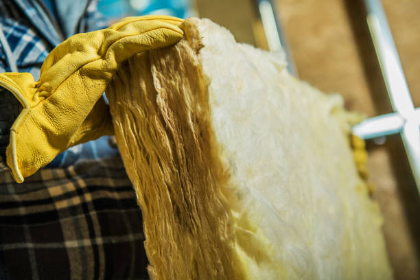 Best Energy-efficient Insulation  in Cattaraugus, NY