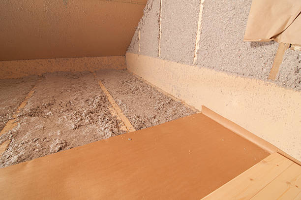 Best Professional Insulation Contractor  in Cattaraugus, NY